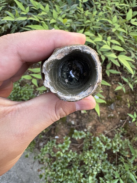 古玩陶瓷龍泉窯青釉標本真品鑒賞圖