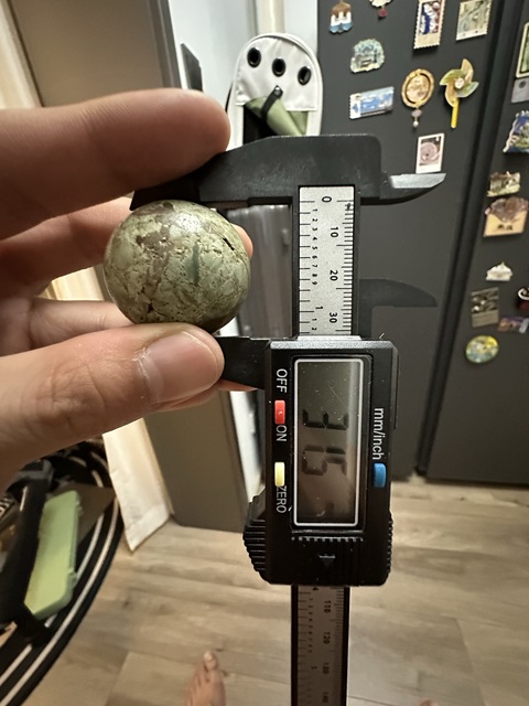 古玩玉器地方玉珠真品鑒賞圖