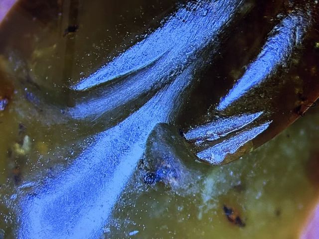 古玩玉器玉犬真品鑒賞圖