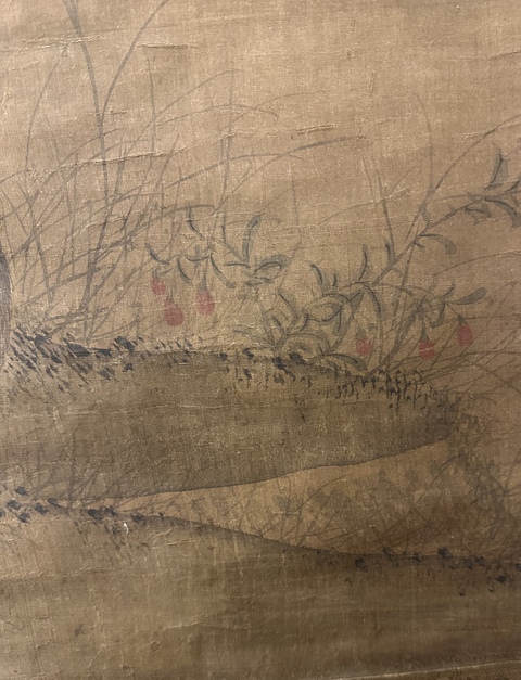 古玩字畫絹本菊花雙兔圖真品鑒賞圖