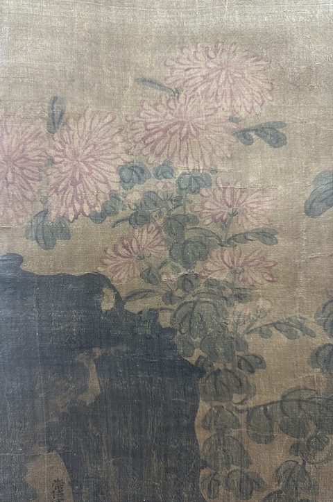 古玩字畫絹本菊花雙兔圖真品鑒賞圖
