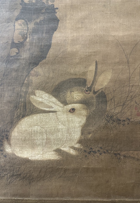 古玩字畫絹本菊花雙兔圖真品鑒賞圖