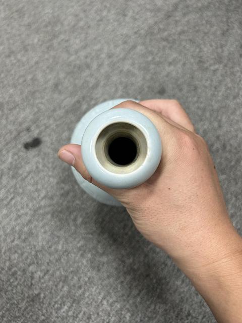 古玩陶瓷天藍釉刻夔龍紋蒜頭瓶真品鑒賞圖