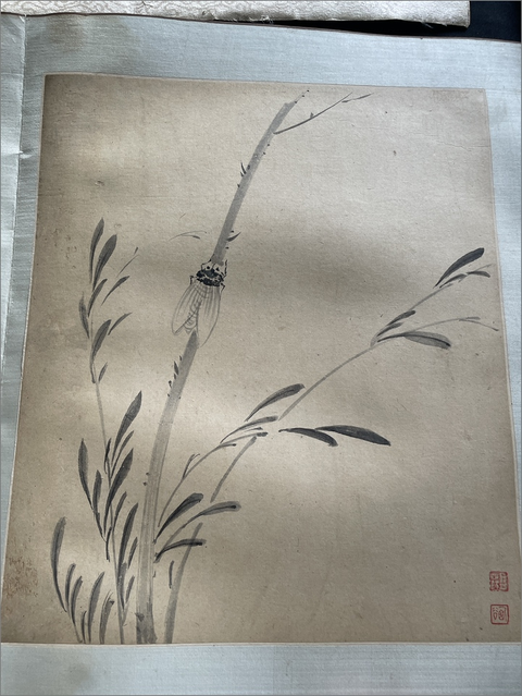 古玩字畫佚名冊頁真品鑒賞圖