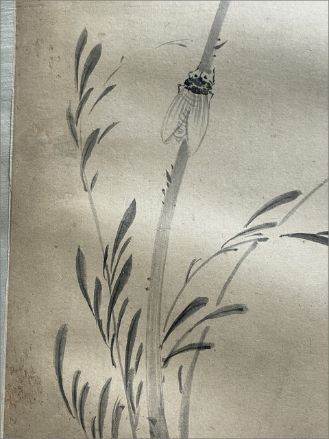 古玩字畫佚名冊頁真品鑒賞圖