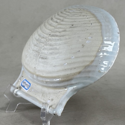 古玩陶瓷清康熙青花礬紅描金花卉紋貝殼盤拍賣，當(dāng)前價(jià)格2400元