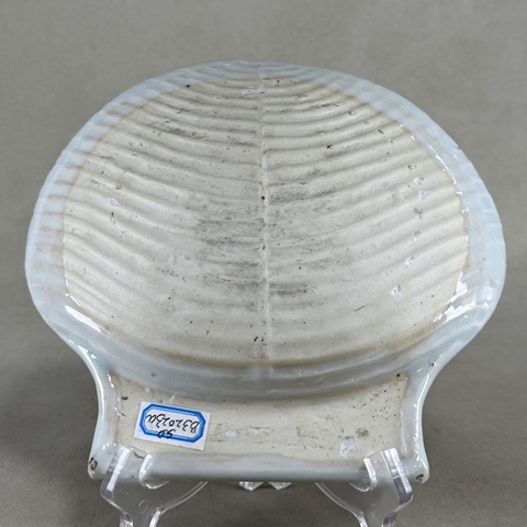 古玩陶瓷清康熙青花礬紅描金花卉紋貝殼盤拍賣，當(dāng)前價(jià)格2400元