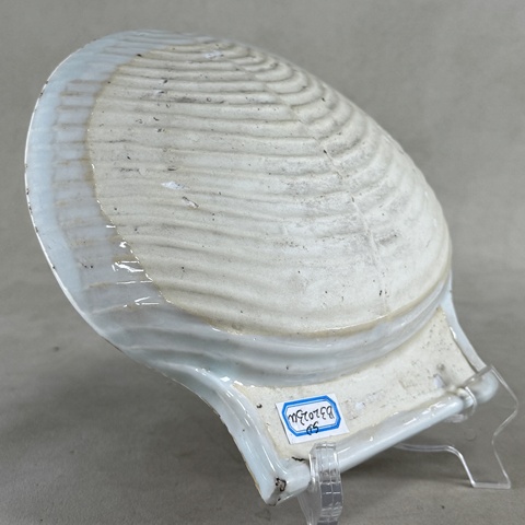 古玩陶瓷清康熙青花礬紅描金花卉紋貝殼盤拍賣，當(dāng)前價(jià)格2400元