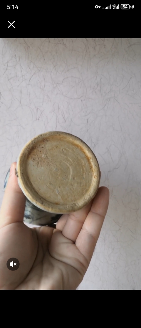 古玩陶瓷景德鎮(zhèn)青花纏枝花卉紋盤口瓶真品鑒賞圖