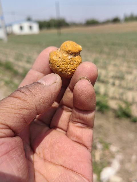 古玩雜項奇石真品鑒賞圖