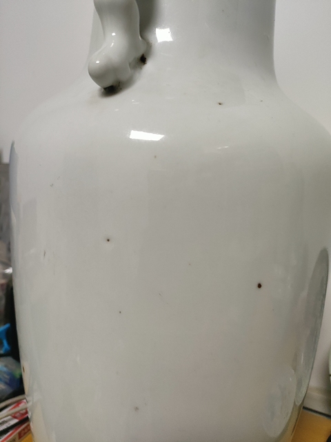 古玩陶瓷瓶真品鑒賞圖