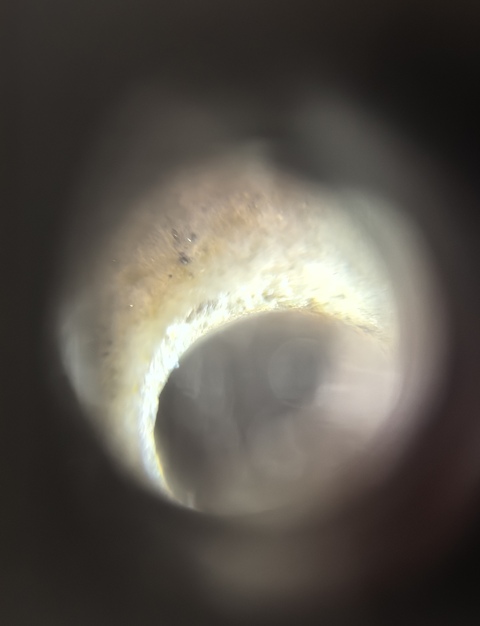 古玩玉器青金石頂珠真品鑒賞圖