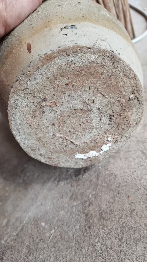 古玩陶瓷褐釉印花盤口瓶真品鑒賞圖