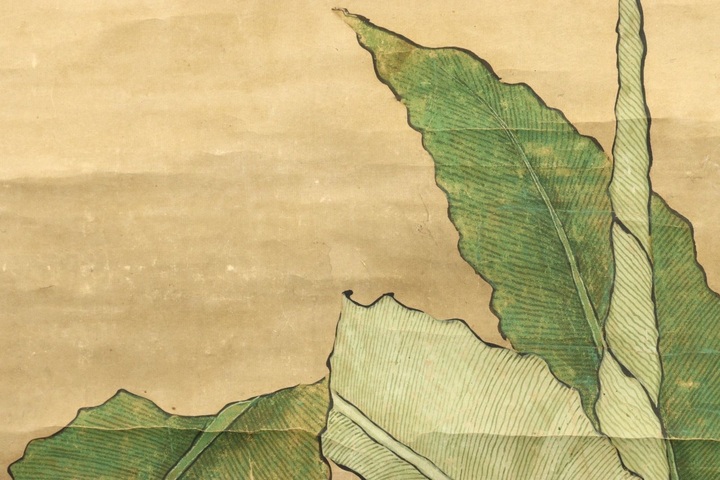 古玩字畫佚名紙本工筆芭蕉雙鳥立軸真品鑒賞圖