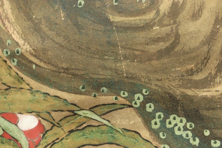 古玩字畫佚名紙本工筆芭蕉雙鳥立軸真品鑒賞圖