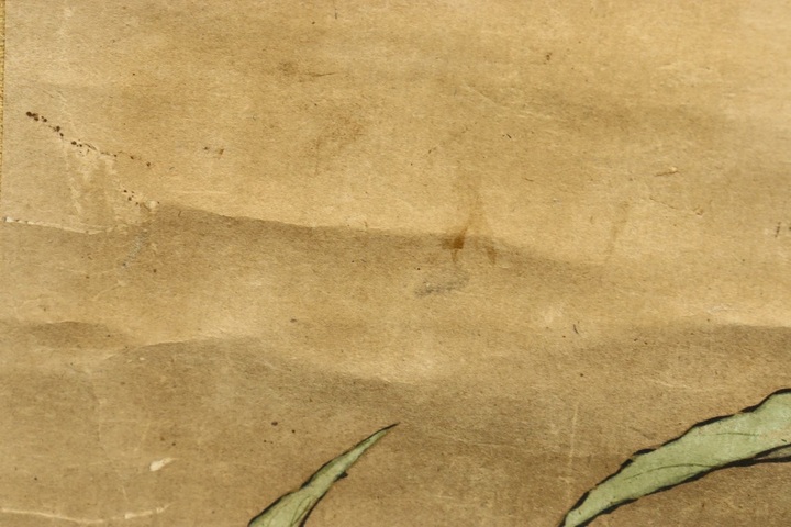 古玩字畫佚名紙本工筆芭蕉雙鳥立軸真品鑒賞圖