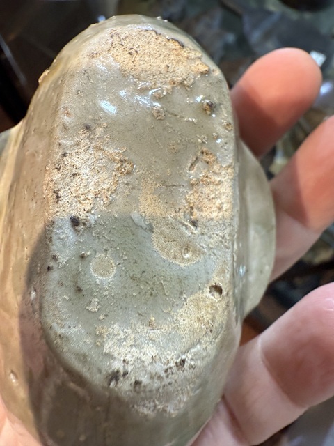 古玩陶瓷越窯青瓷耳杯真品鑒賞圖