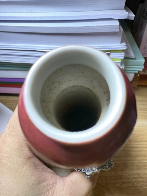 古玩陶瓷胭脂紅釉螭龍紋蒜頭瓶真品鑒賞圖