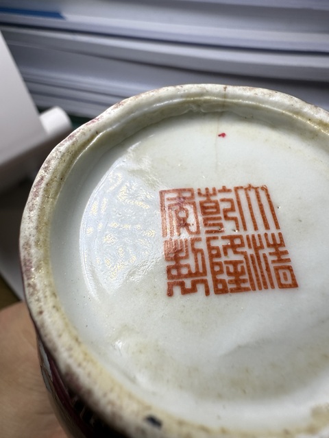 古玩陶瓷胭脂紅釉螭龍紋蒜頭瓶真品鑒賞圖