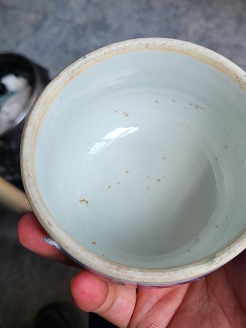 古玩陶瓷光緒青花罐真品鑒賞圖