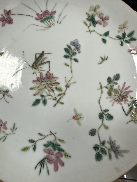 古玩陶瓷清中期粉彩蟲草花卉紋花口盤拍賣,當前價格2000元
