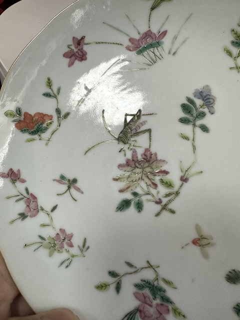 古玩陶瓷清中期粉彩蟲草花卉紋花口盤拍賣,當前價格2000元