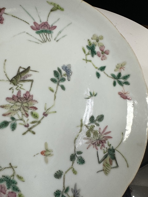 古玩陶瓷清中期粉彩蟲草花卉紋花口盤拍賣,當前價格2000元