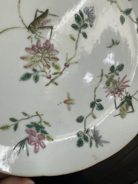 古玩陶瓷清中期粉彩蟲草花卉紋花口盤拍賣,當前價格2000元