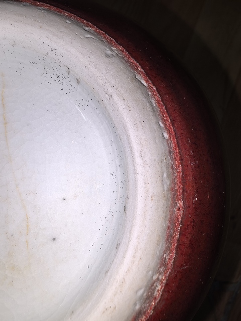 古玩陶瓷紅釉天球瓶真品鑒賞圖