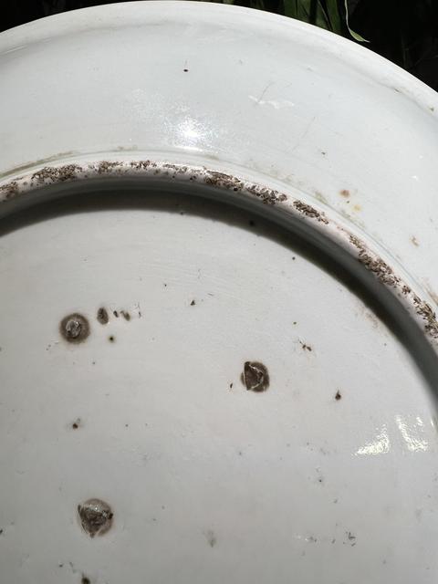 古玩陶瓷民國青花盤真品鑒賞圖