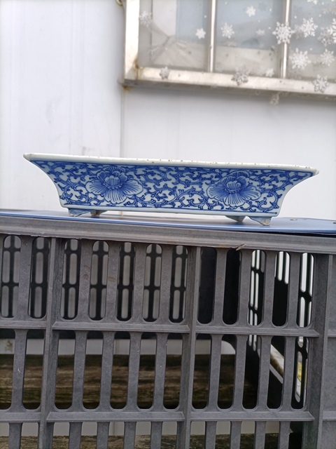 古玩陶瓷青花纏枝花紋水仙盆真品鑒賞圖