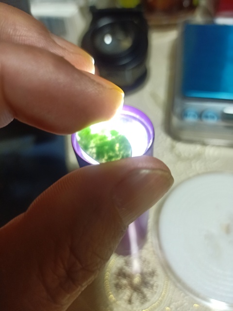 古玩玉器天然翡翠A貨戒面真品鑒賞圖