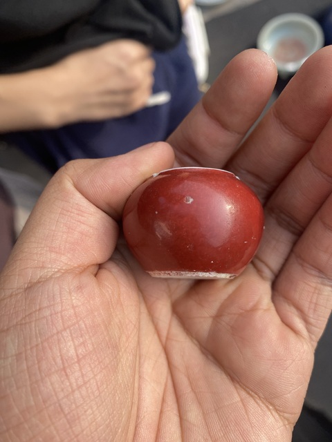 古玩陶瓷胭脂紅釉鳥食罐真品鑒賞圖