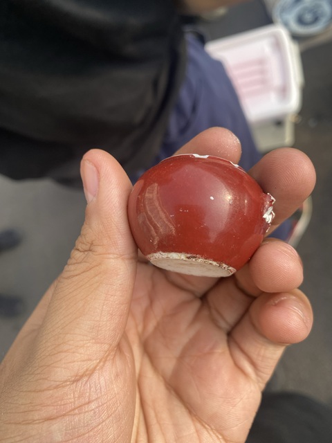 古玩陶瓷胭脂紅釉鳥食罐真品鑒賞圖