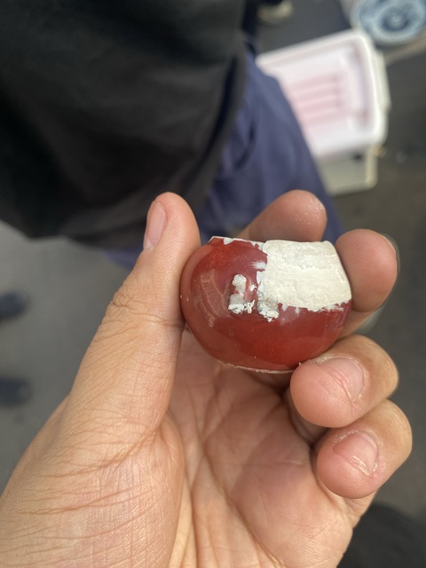 古玩陶瓷胭脂紅釉鳥食罐真品鑒賞圖