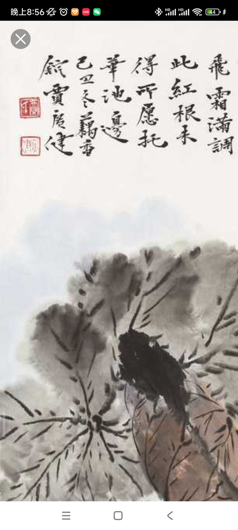 古玩字畫賈廣健款寫意荷花真品鑒賞圖