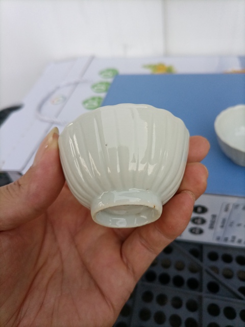 古玩陶瓷白釉菊瓣杯拍賣，當前價格2000元