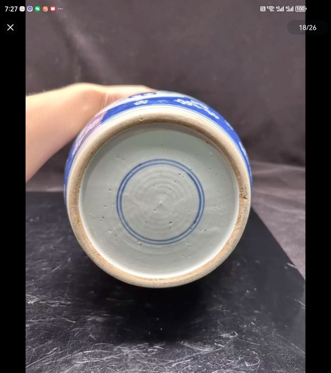 古玩陶瓷青花留白冰梅紋開光博古圖罐真品鑒賞圖