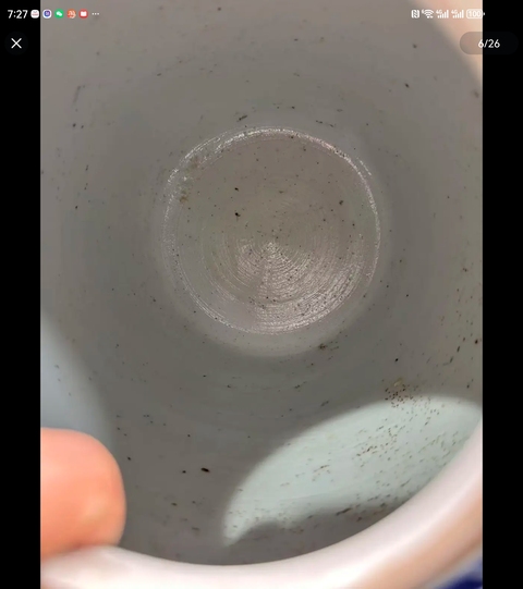古玩陶瓷青花留白冰梅紋開光博古圖罐真品鑒賞圖