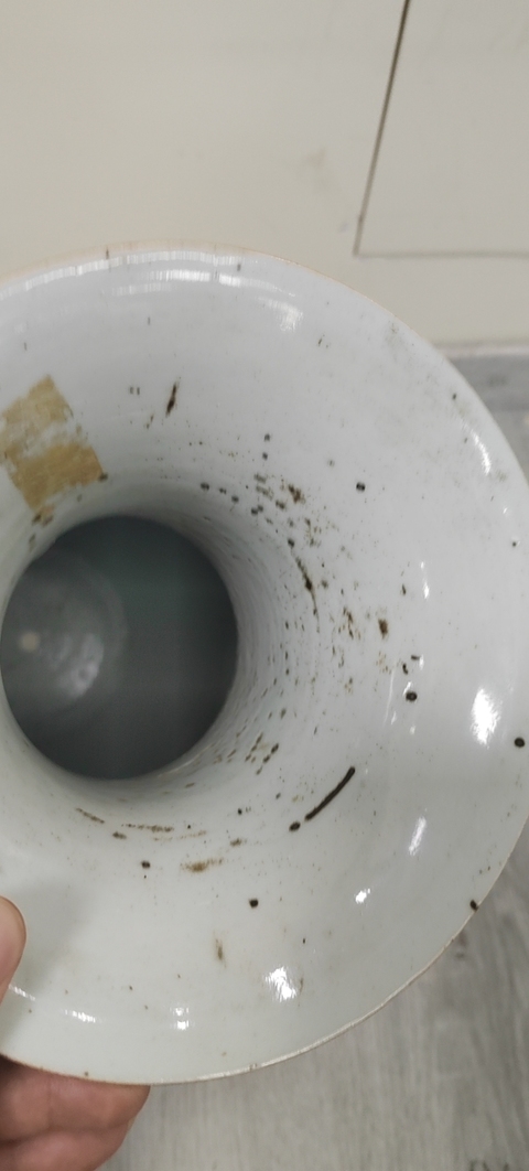 古玩陶瓷花卉紋賞瓶真品鑒賞圖