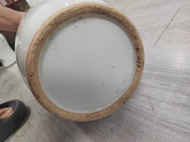 古玩陶瓷柳樹黃鶯賞瓶真品鑒賞圖
