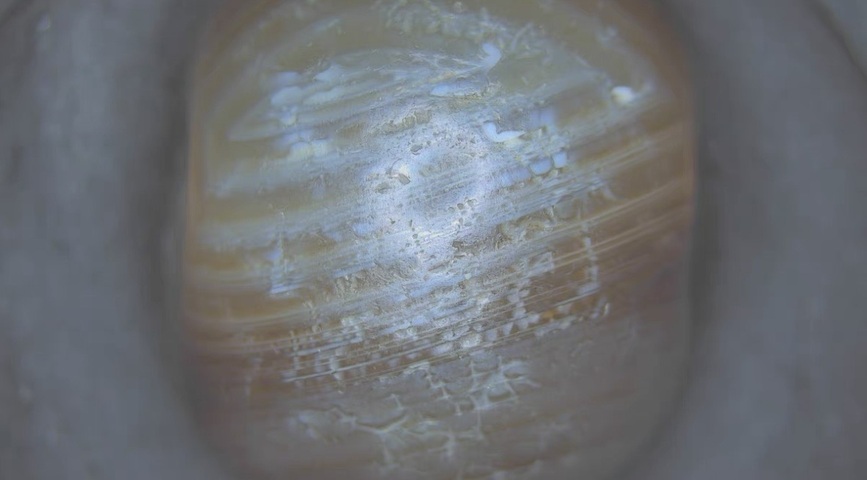 古玩玉器仿薩珊瑪瑙印真品鑒賞圖