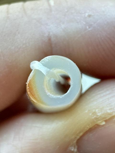 古玩雜項(xiàng)珠真品鑒賞圖