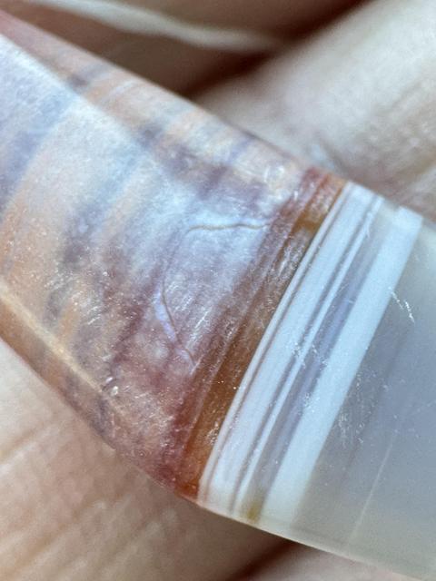 古玩雜項(xiàng)珠真品鑒賞圖