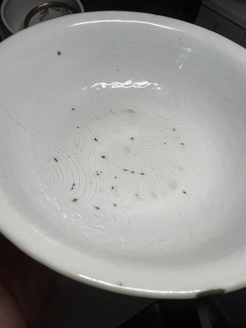 古玩陶瓷海水江崖馬紋臥足碗真品鑒賞圖