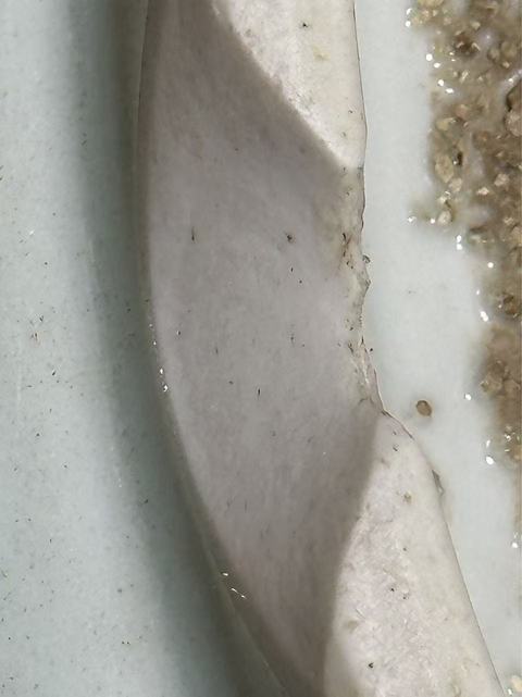 古玩陶瓷雙藍圈玉堂佳器款芭蕉麒麟紋青花盤真品鑒賞圖