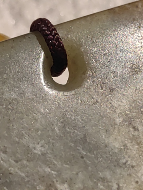 古玩玉器素紋玉璜真品鑒賞圖