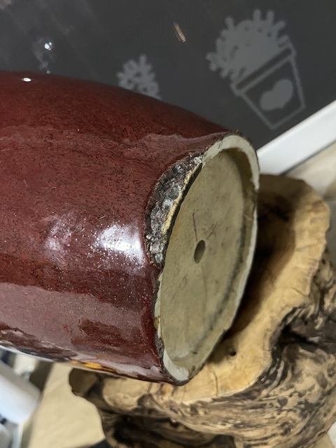 古玩陶瓷鈞紅釉截口瓶真品鑒賞圖