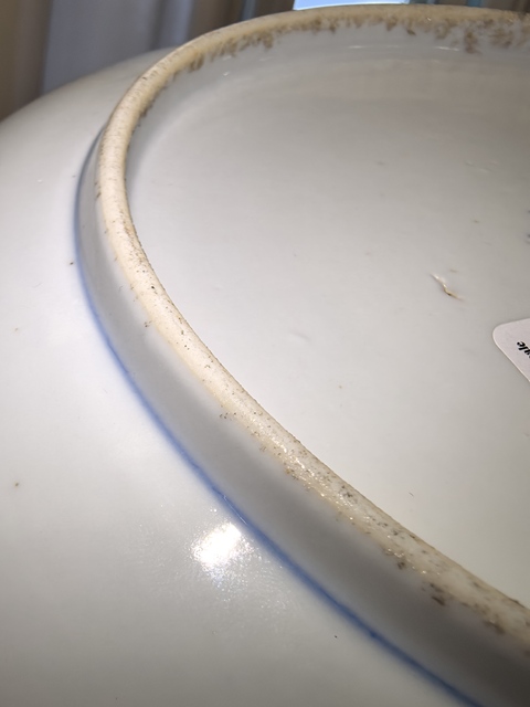 古玩陶瓷清光緒 青花加彩纏枝蓮盤真品鑒賞圖