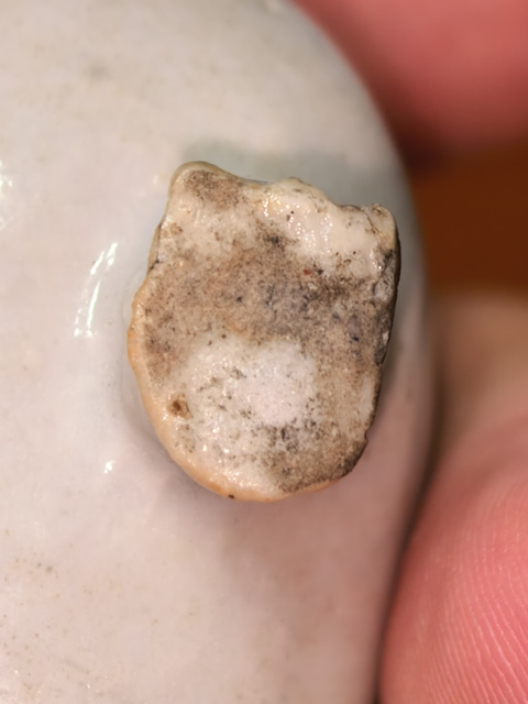 古玩陶瓷白釉藍彩金蟾水盂真品鑒賞圖